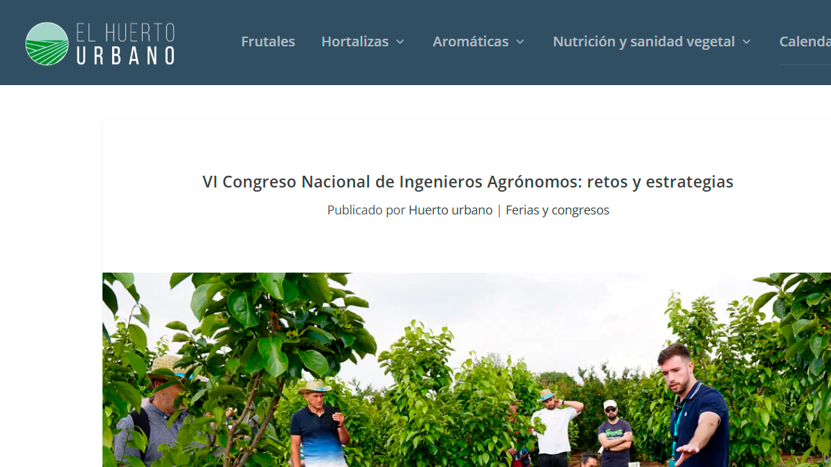 el-huerto-urbano
